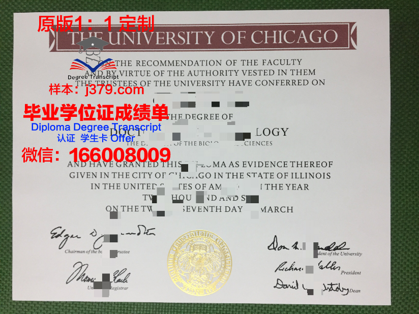 美国芝加哥大学毕业证书图片:一张承载荣誉与梦想的纸