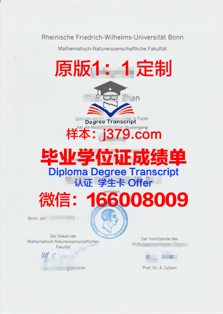 波恩大学毕业证书图片模板(波恩大学好毕业吗)
