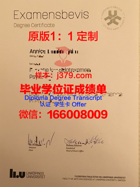 林雪平大学几年可以毕业证(林雪平大学预科)