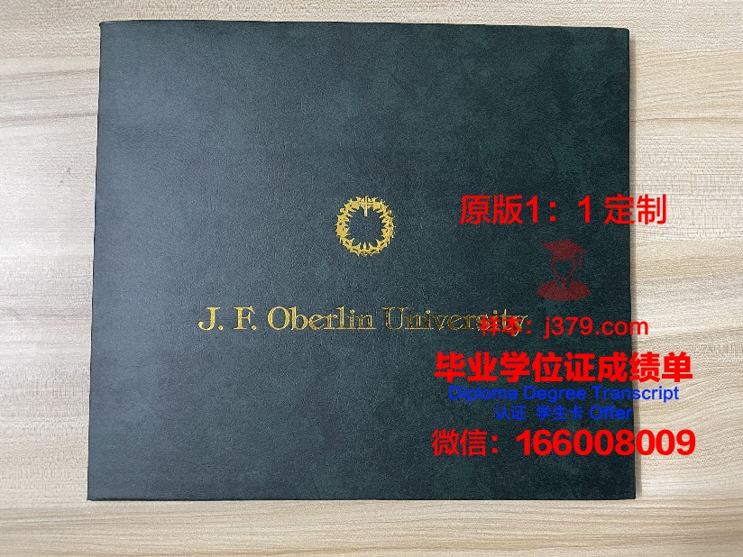 波尔图大学毕业证图片(波尔图大学本科申请条件)