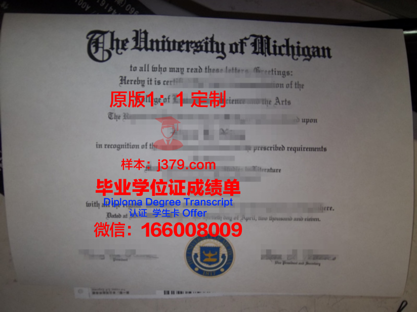 弗鲁米嫩塞联邦大学博士毕业证