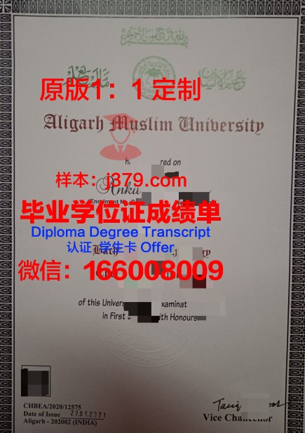 胡阿里布迈丁科技大学毕业证高清图