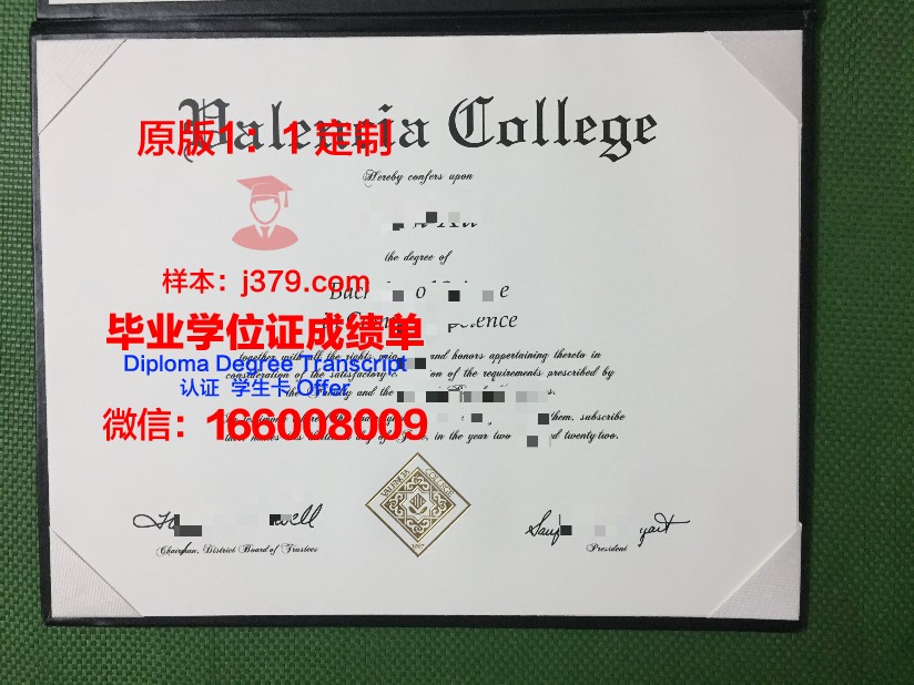 瓦伦西亚大学校园卡(瓦伦西亚大学相当于国内什么大学)