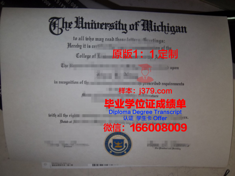 杨大毕业证成绩单:一张纸背后的故事