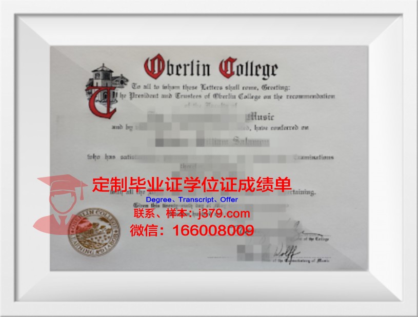 柏林斯泰恩拜斯应用技术大学毕业证封面(德国柏林斯泰恩拜斯大学)