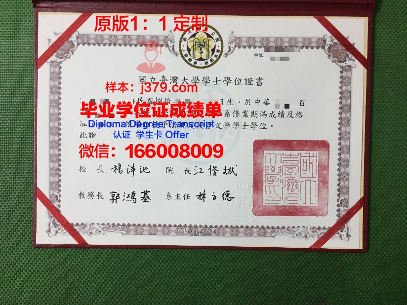 波尔多国立高等电子信息与无线电通讯学院diploma证书(波尔多大学排名)