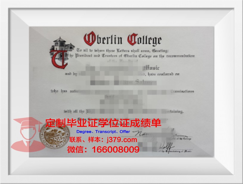 柏林艺术大学硕士毕业证:艺术与学术的融合见证