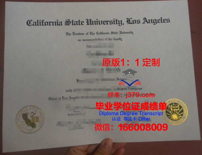 查塔努加州立社区学院毕业证成绩单:一张纸背后的故事