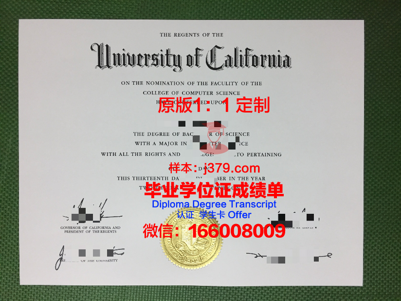波尔多经济管理学院毕业证电子版(波尔多经济管理学院毕业证电子版怎么查)