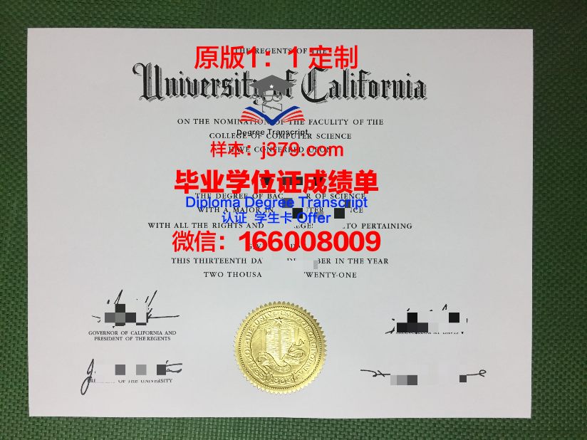 波恩储蓄银行财团学院本科毕业证:开启国际金融职业生涯的钥匙