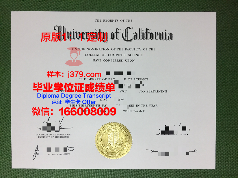 波尔多综合理工学院-波尔多国立高等化学生物与物理学院毕业证模板