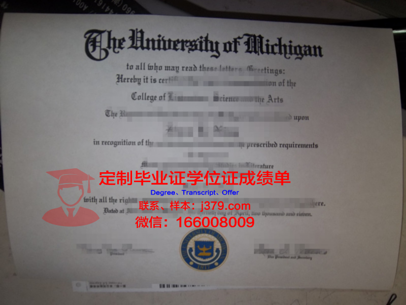 波兹南艺术大学本科毕业证:一份跨越国界的学术荣誉