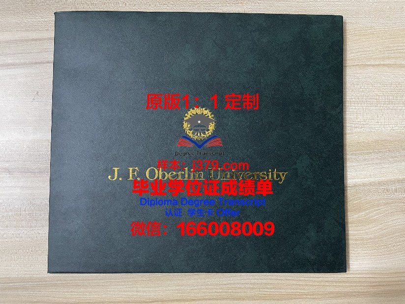 纳尔逊·曼德拉都市大学毕业学位