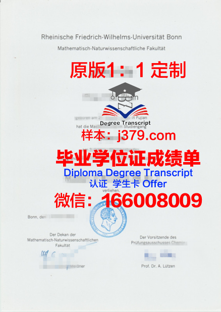波恩大学毕业文凭