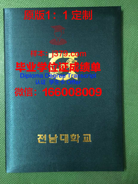 波尔多国立高等电子信息与无线电通讯学院毕业证壳子