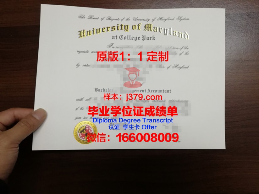 美国马里兰东海岸大学的毕业证啥样(马里兰大学东海岸分校怎么样)