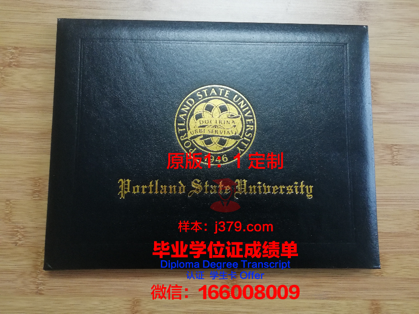 波特兰社区学院学位证成绩单:开启职业生涯的钥匙