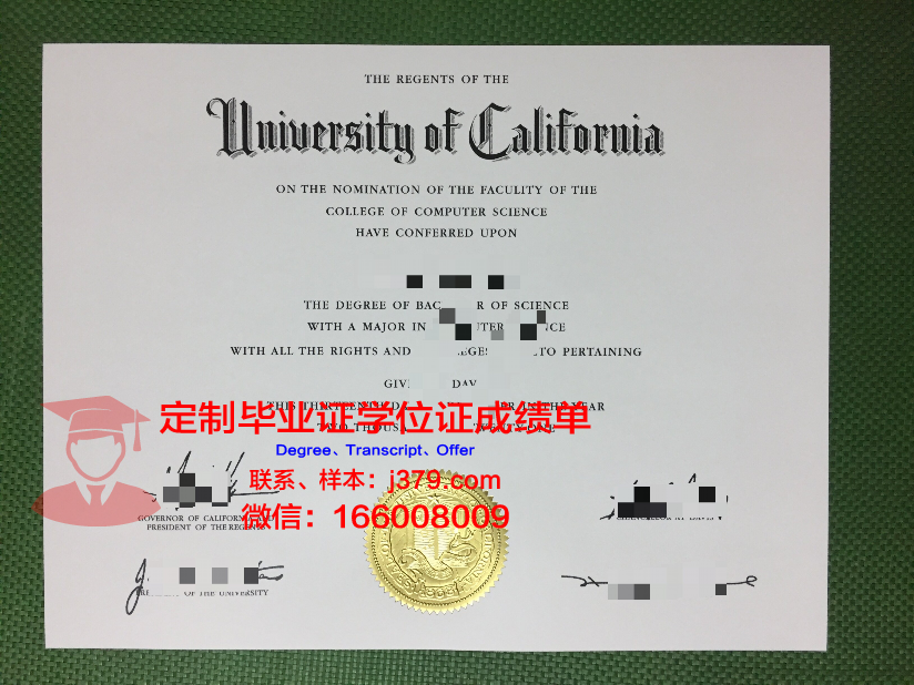 弗鲁米嫩塞联邦大学博士毕业证