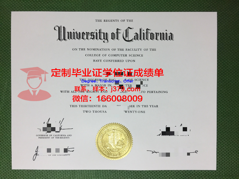 美术本科毕业证什么样(大学美术生毕业证)