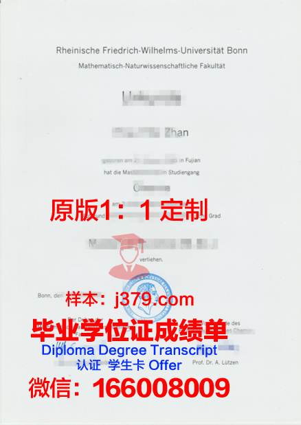 波恩大学的毕业证啥样(波恩大学是公立大学吗)