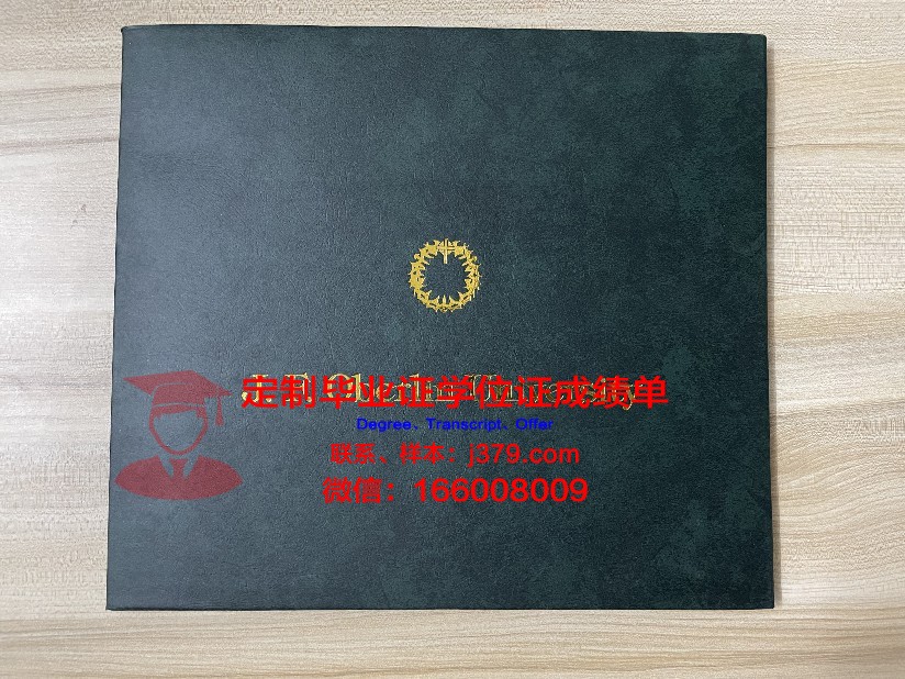 波尔多第二大学毕业证书模板(法国波尔多第二大学)
