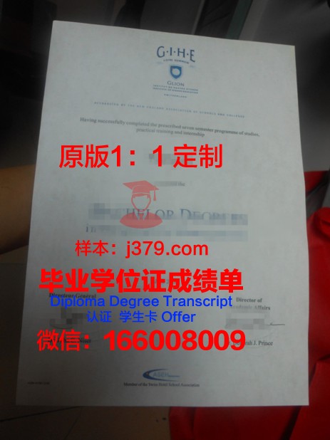 法国里昂中央理工大学毕业证图片