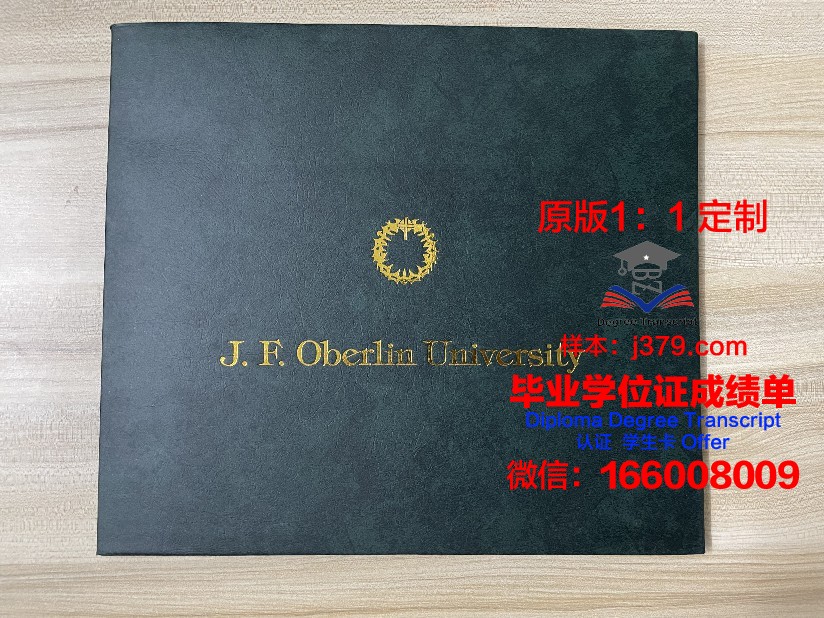群马大学毕业证图片(群马大学地理位置)