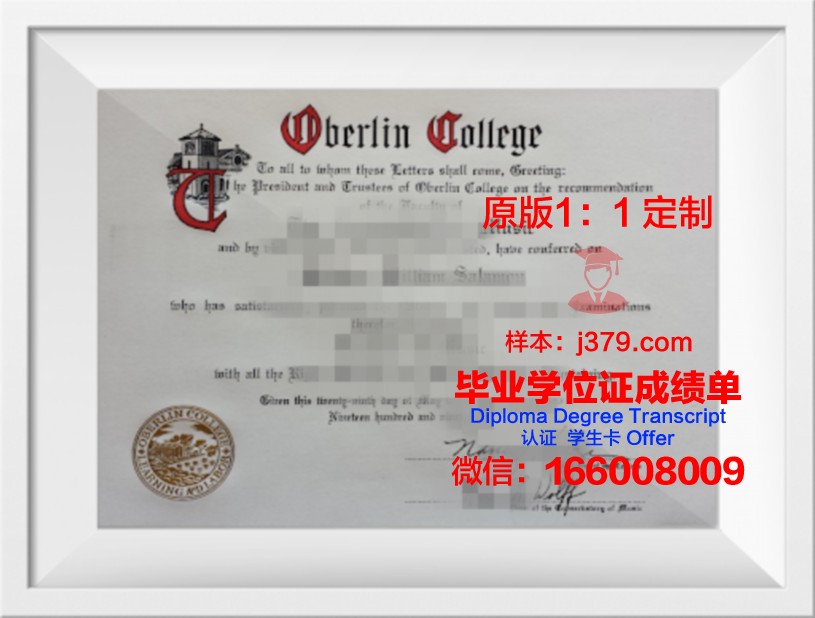 柏林工程应用技术大学毕业学位