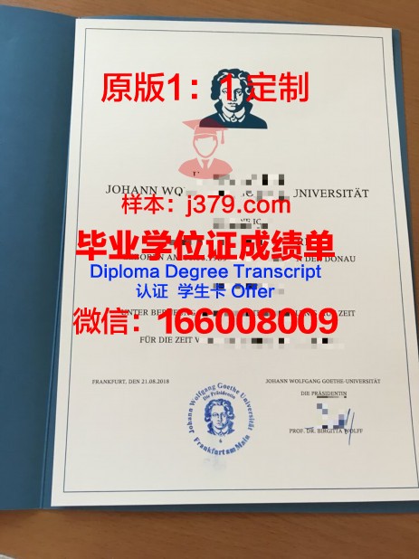 法兰克福造型艺术学院毕业证是什么样子(法兰克福音乐学院怎么样)