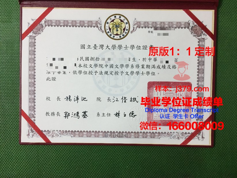 波尔多国立高等电子信息与无线电通讯学院毕业证书图片模板