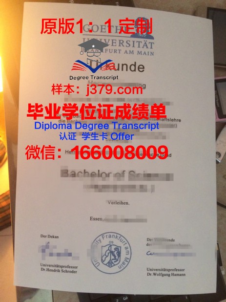 法兰克福大学毕业证样本(法兰克福大学入学条件)