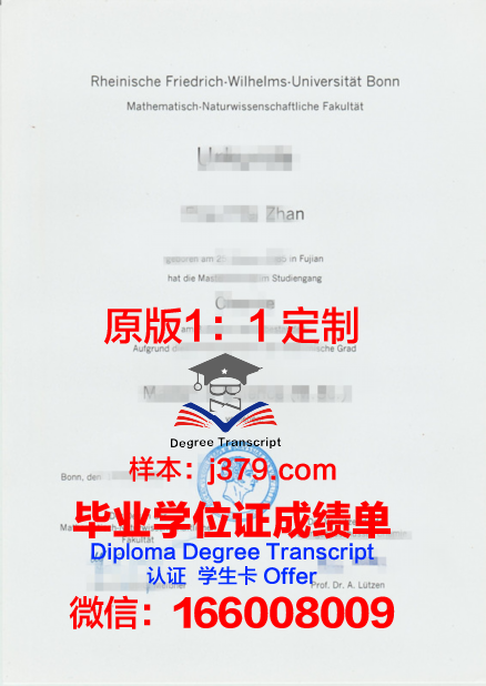 波恩大学毕业证书时间(波恩大学vwl)