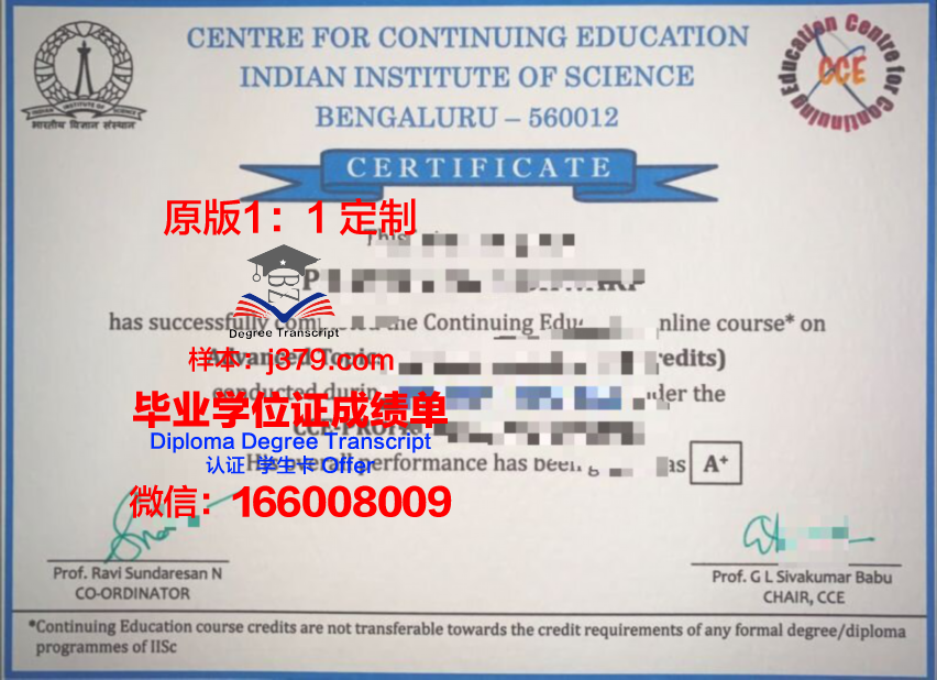 波尔多自然与农业食品科学学院证书成绩单(波尔多大学经济管理学院)