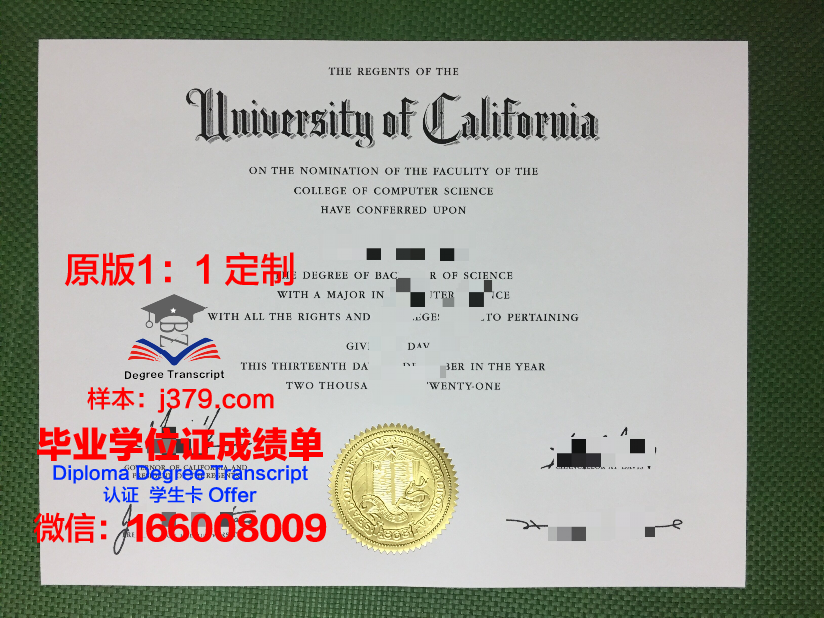 波士大毕业证成绩单:一张纸的重量