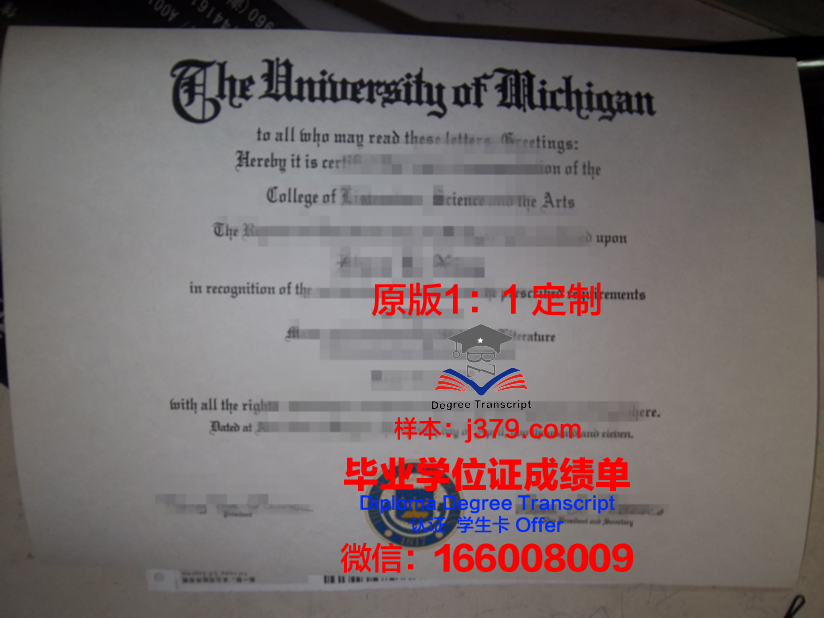 波尔多大学毕业证长什么样(波尔多大学毕业证长什么样子图片)