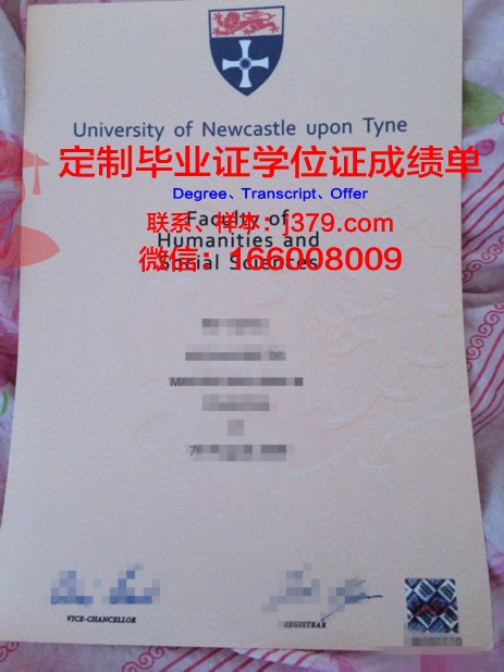 纽卡斯尔大学成绩单(纽卡斯尔大学挂科率)