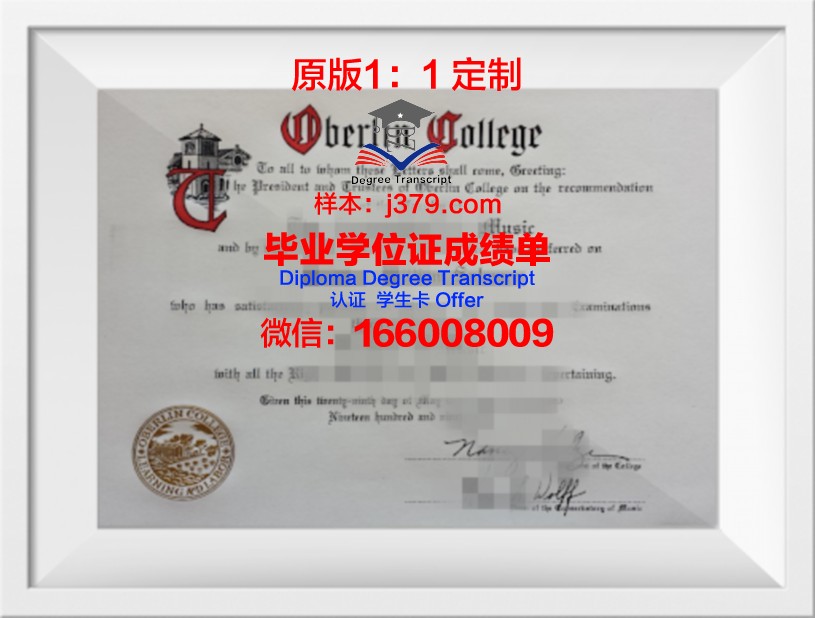 柏林媒体设计学院本科毕业证:开启全球创意产业的大门
