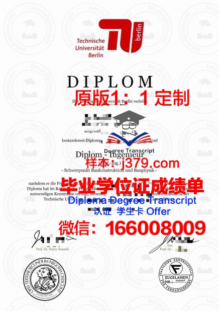 柏林工程与经济应用技术大学毕业证样本(柏林工业大学经济工程专业)