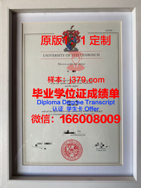泰伦博斯成绩单:一部揭示历史真相的珍贵文献