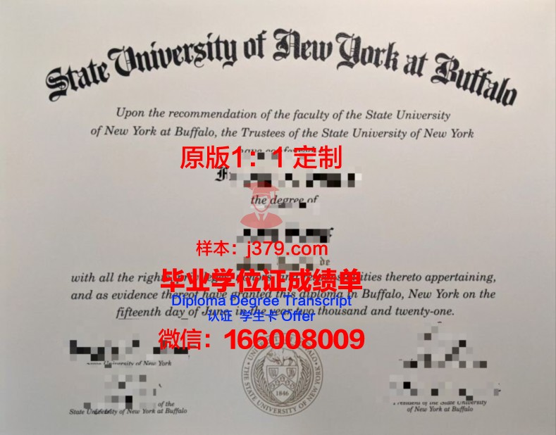 纽约市立大学约克学院毕业证学位证(纽约州立大学水牛城分校毕业证)