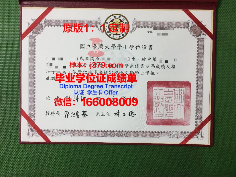 波尔多综合理工学院-波尔多国立高等化学生物与物理学院毕业证书图片模板