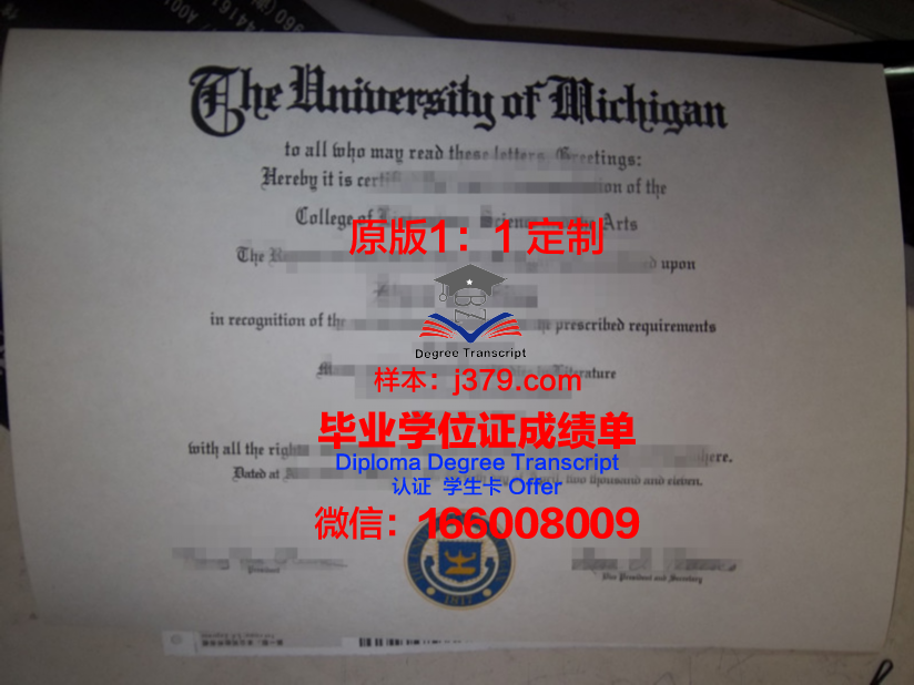 波士大毕业证成绩单:一张纸的重量