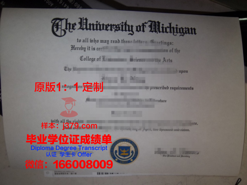 联邦乌尔都文学与科技大学毕业证等级