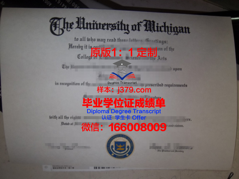 弗罗茨瓦夫医科大学毕业证照片(弗罗茨瓦夫大学怎么样)