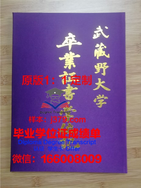 波尔多国立高等电子信息与无线电通讯学院毕业证壳子
