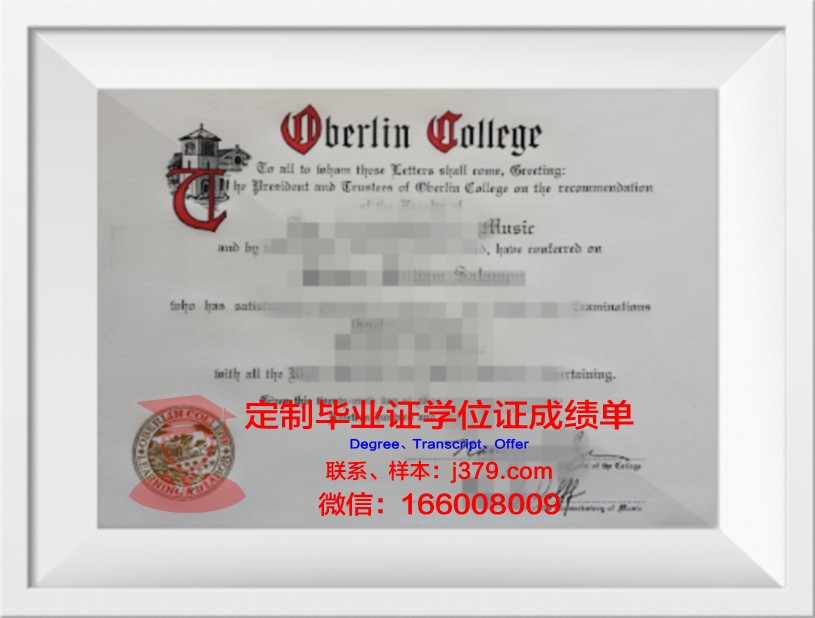 柏林自由大学博士毕业证