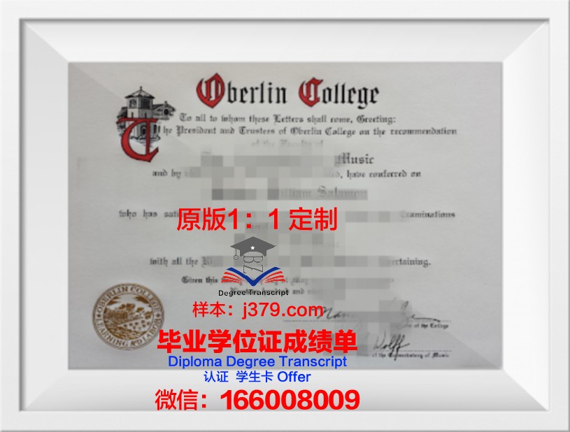 柏林自由大学毕业证原件