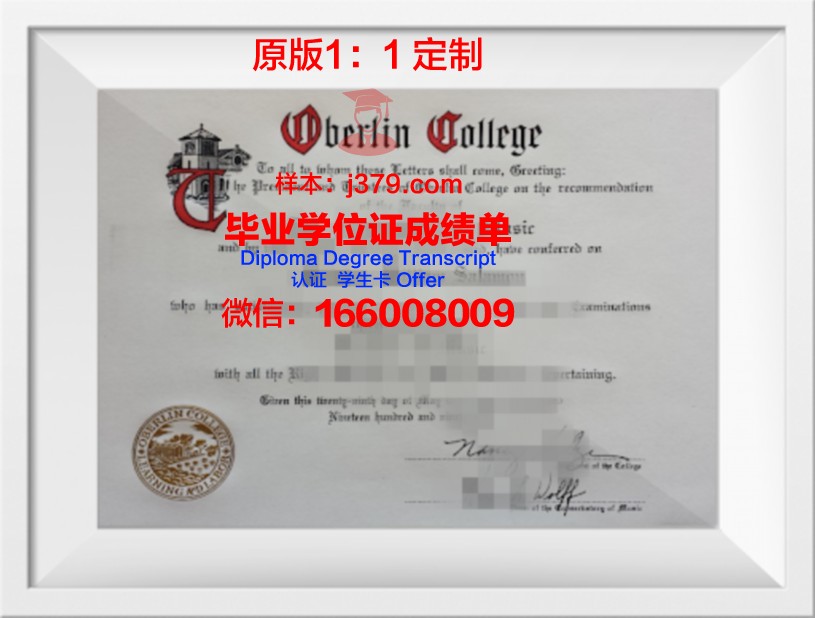 柏林工业大学毕业证样式(柏林工业大学毕业证样式图)