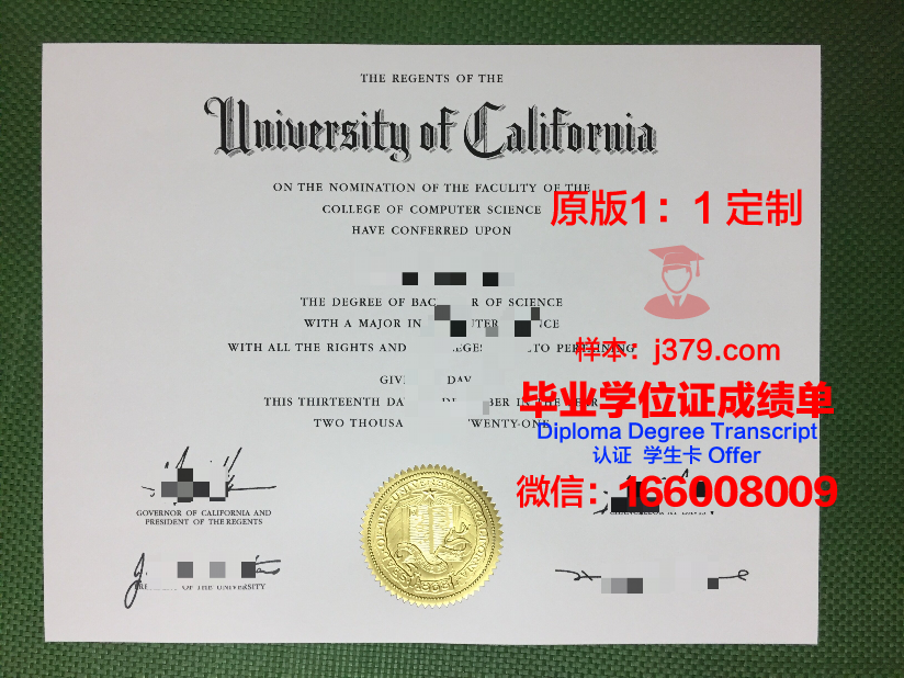 琦玉大学毕业证