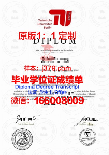 柏林大硕士毕业证:跨越时空的学术荣光